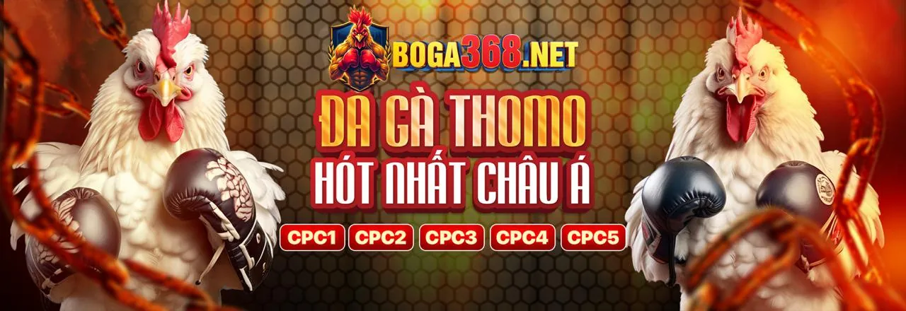 Blog helo888 nhà cái - Tin tức và mẹo cá cược