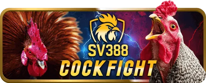 Hỗ trợ khách hàng helo888